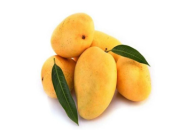 Mango Badami